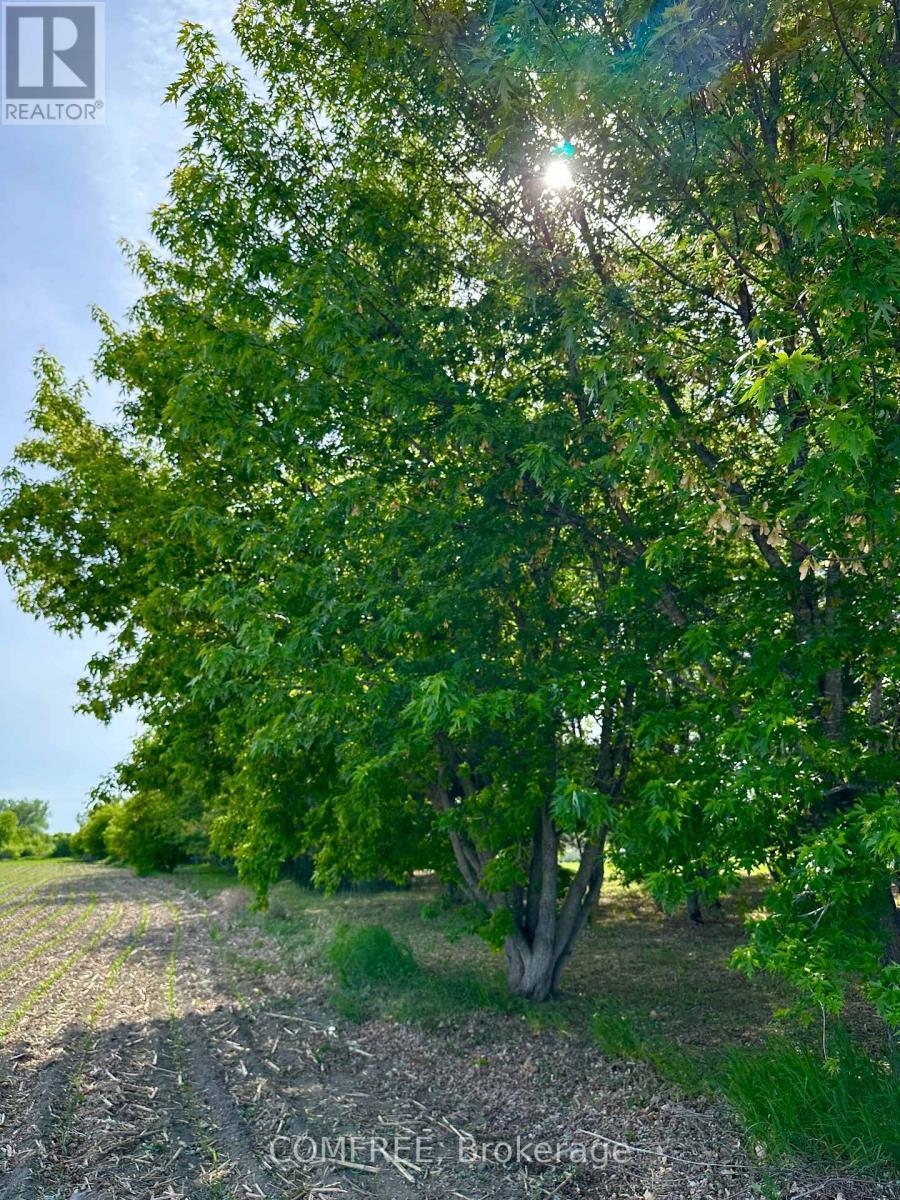 3646 Kinburn Side Road, Ottawa, ON