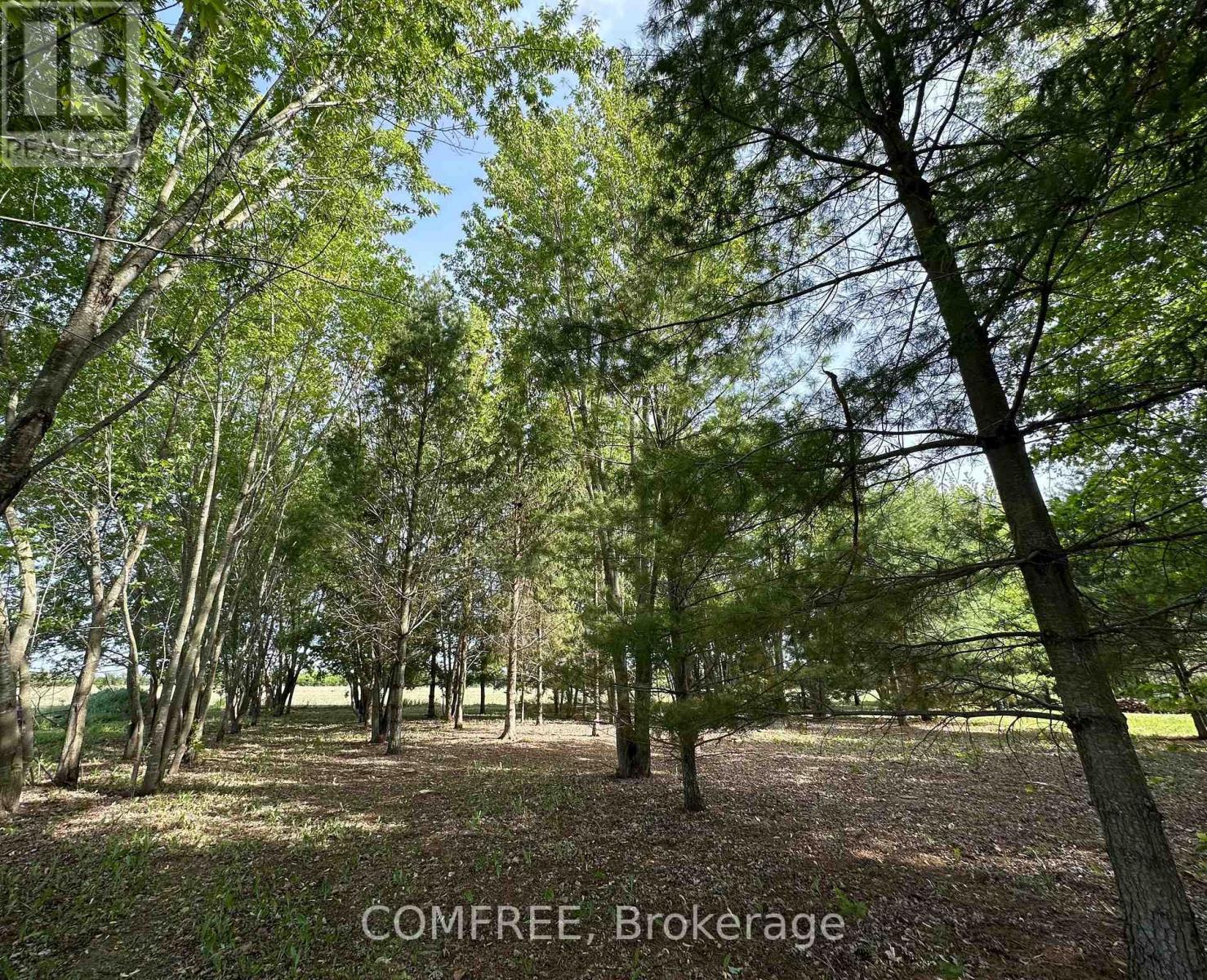 3646 Kinburn Side Road, Ottawa, ON