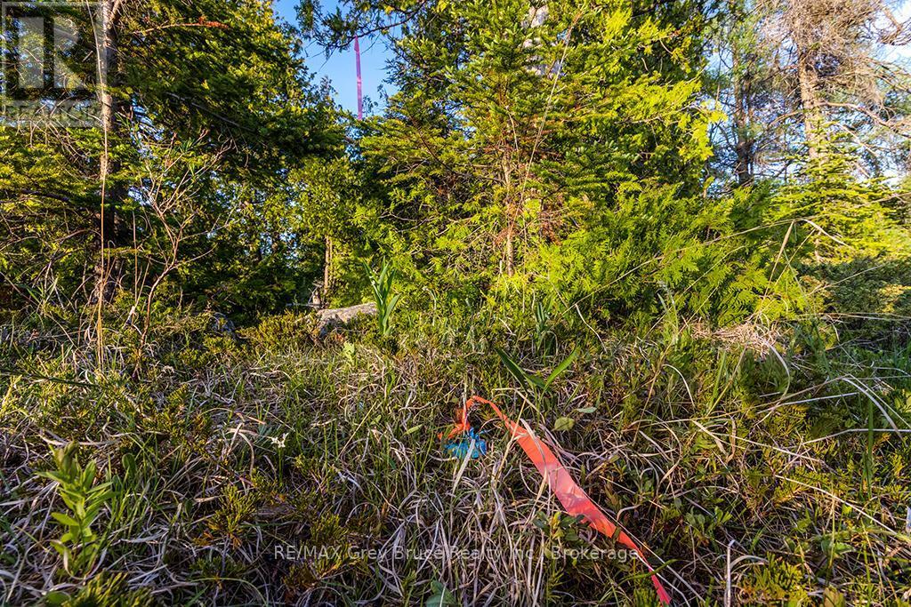 Unit 39 Tamarac Road, Northern Bruce Peninsula, ON