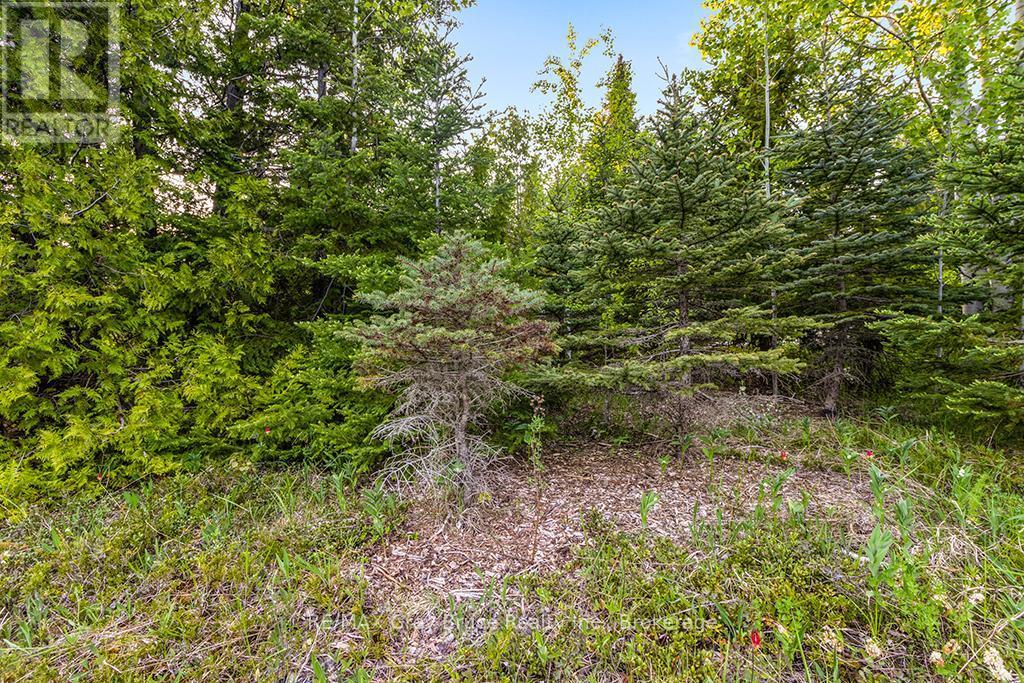 Unit 39 Tamarac Road, Northern Bruce Peninsula, ON