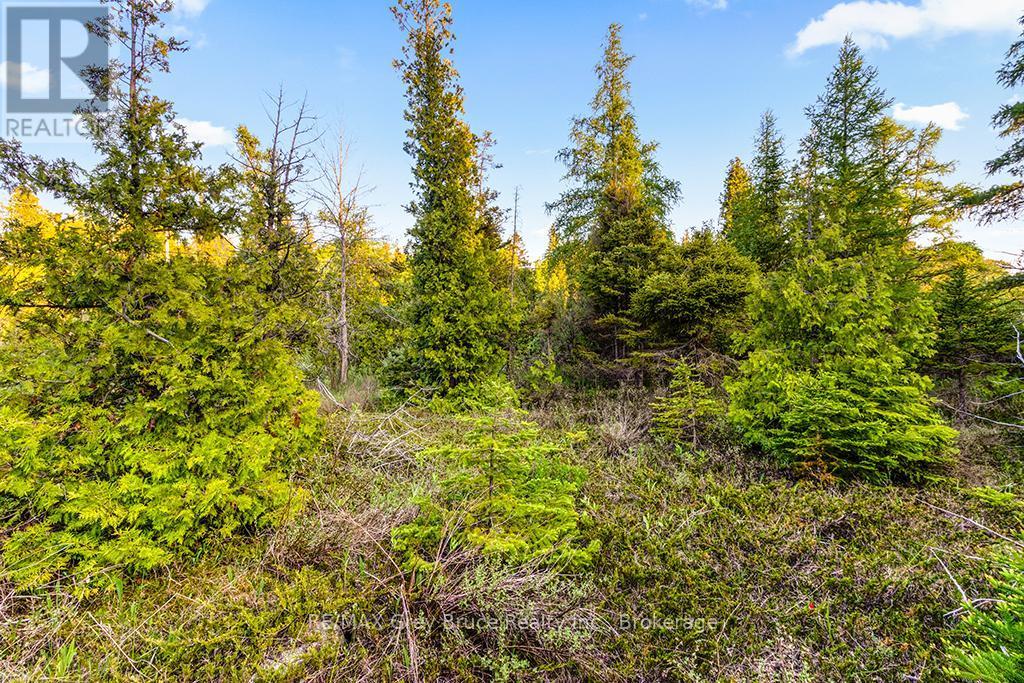 Unit 39 Tamarac Road, Northern Bruce Peninsula, ON