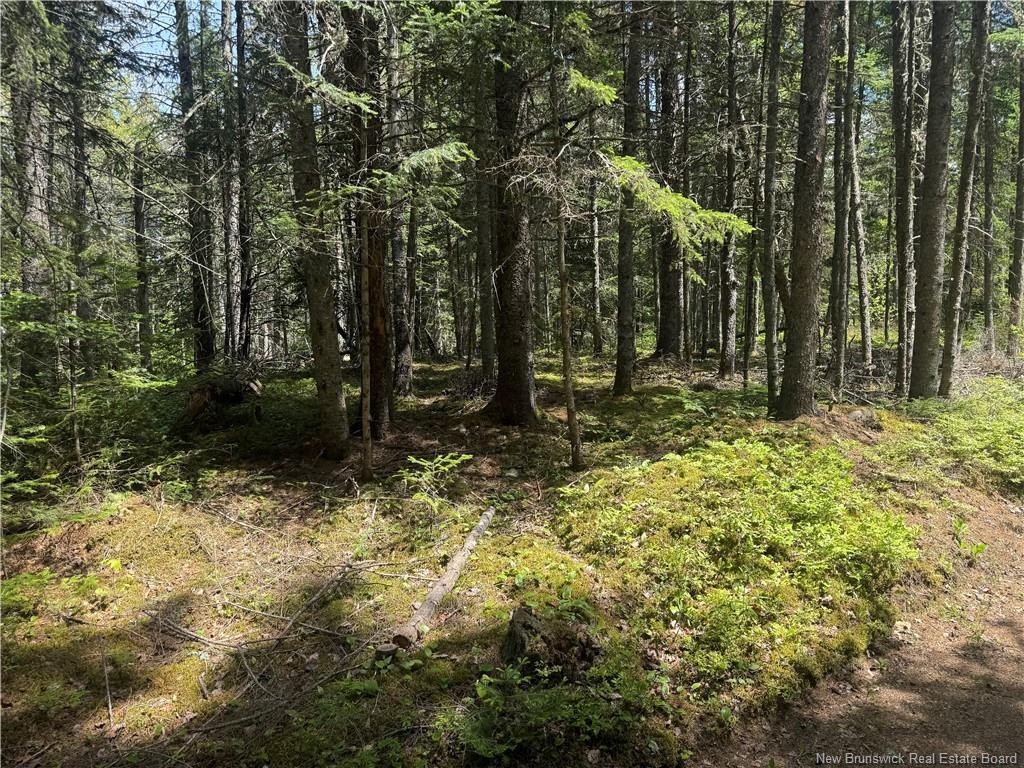Na Portage Vale Rd., Portage Vale, NB - Outdoor With View