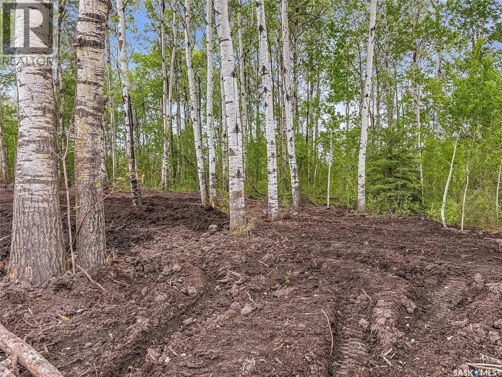 12 Misty Bay Drive, Big Shell, SK