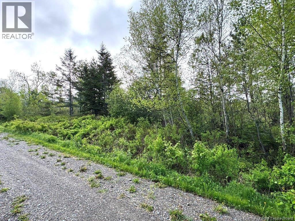 196 Ledge Road, Dufferin, NB