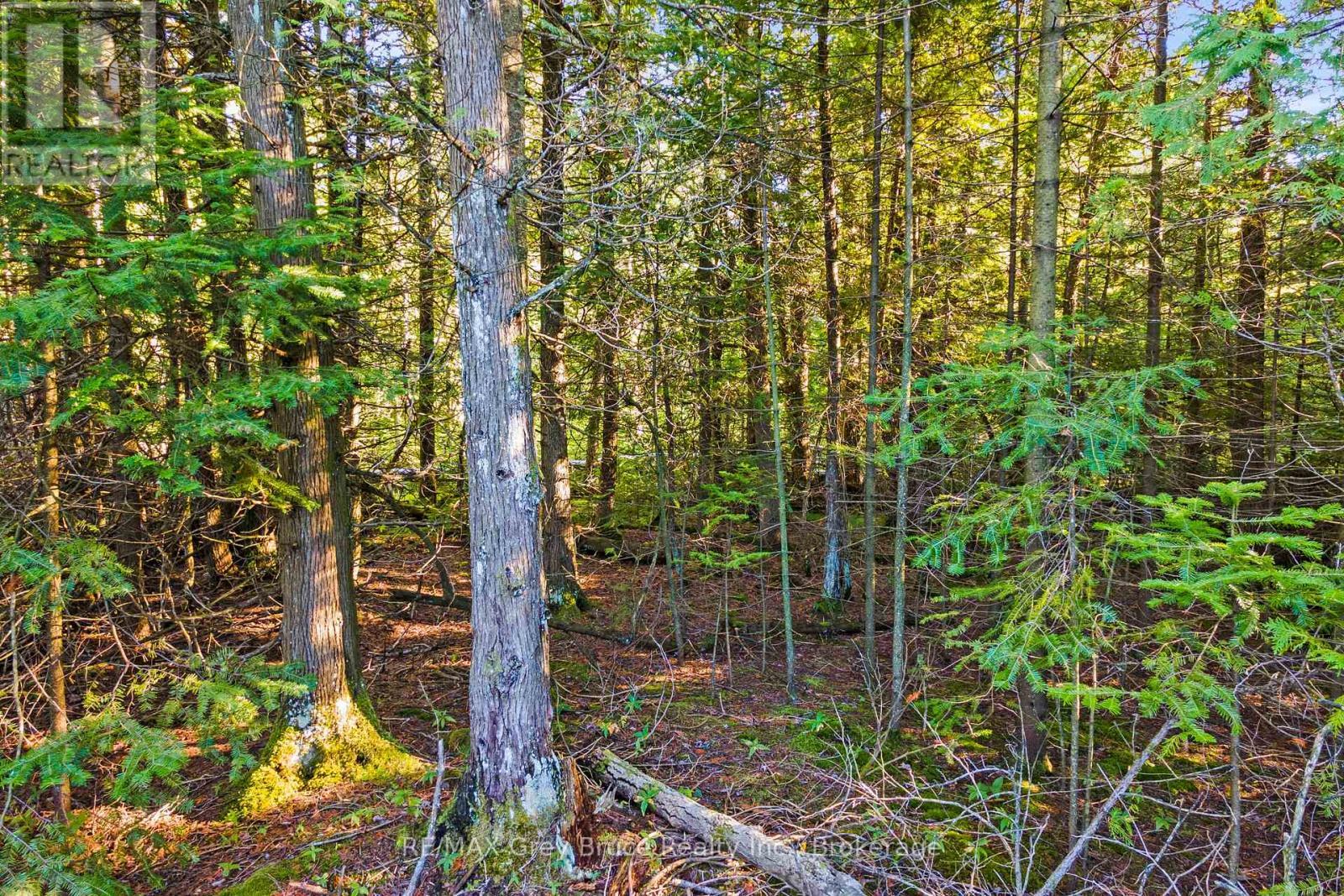 30 Huron Park Road, Northern Bruce Peninsula, ON