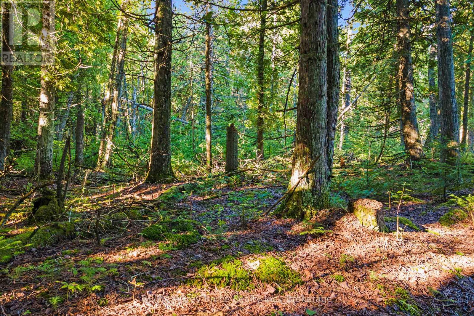 30 Huron Park Road, Northern Bruce Peninsula, ON