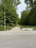 Walking Trail -