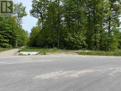 Lot abuts Walking Trail -