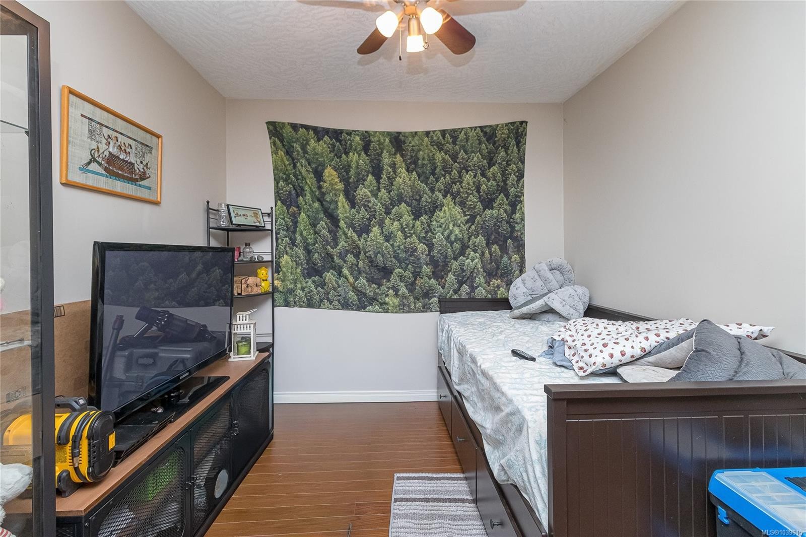 #212-894 Vernon Ave, Saanich, BC