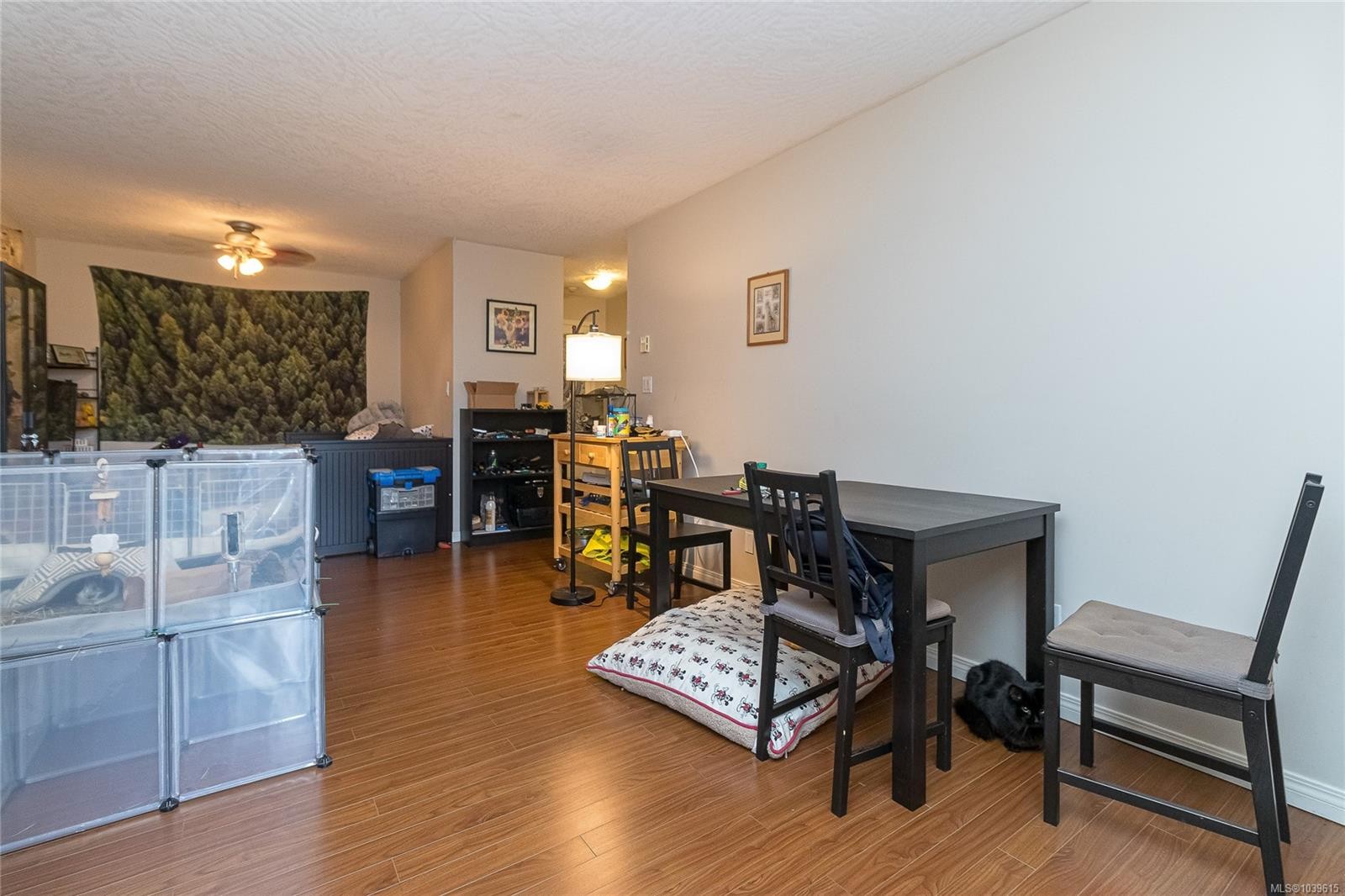#212-894 Vernon Ave, Saanich, BC