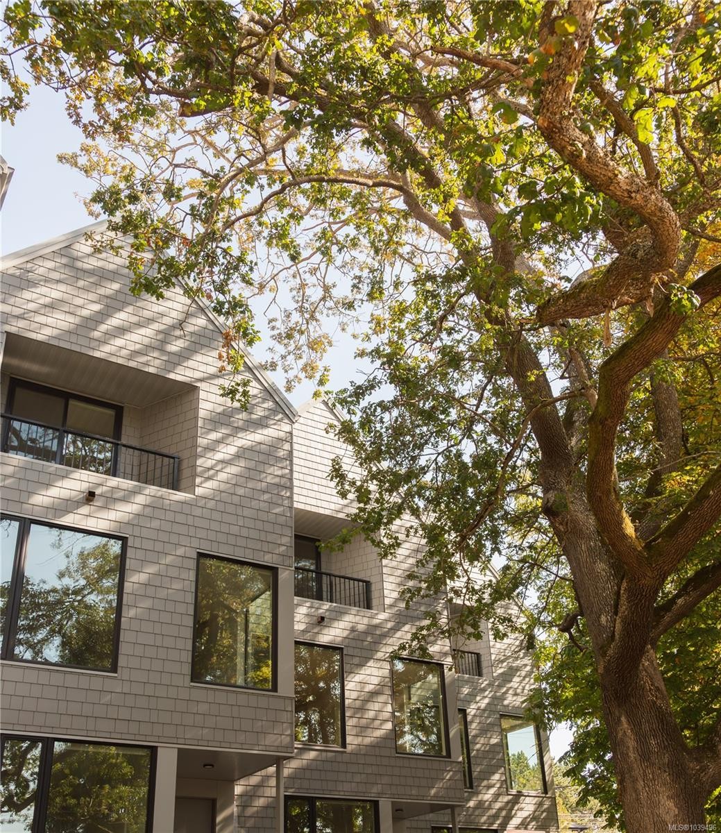 #3-909 Redfern St, Victoria, BC
