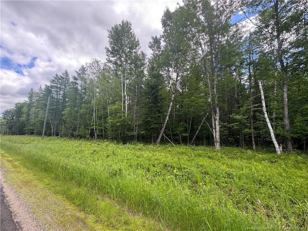 - Route 690, Maquapit Lake, NB