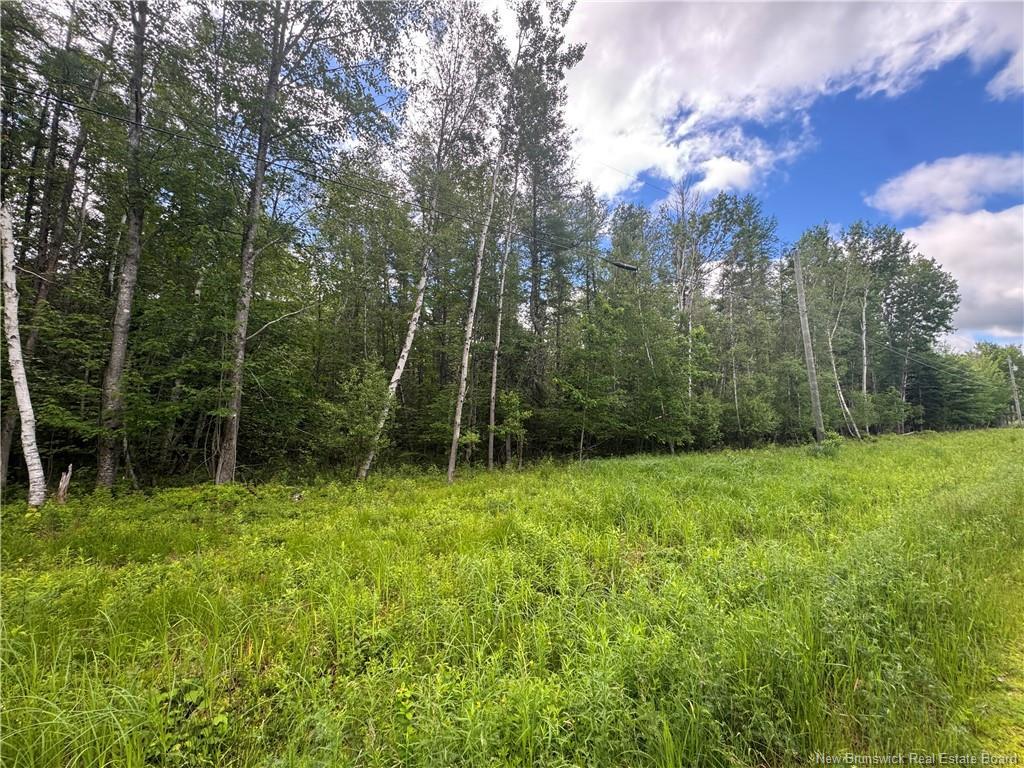 - Route 690, Maquapit Lake, NB