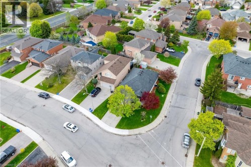 Residential neighborhood with mature trees, paved streets, and concrete sidewalks - 50 Spadara Drive, Hamilton, ON - Outdoor With View