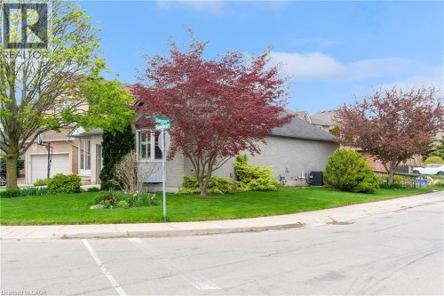 50 Spadara Drive, Hamilton, ON - Outdoor