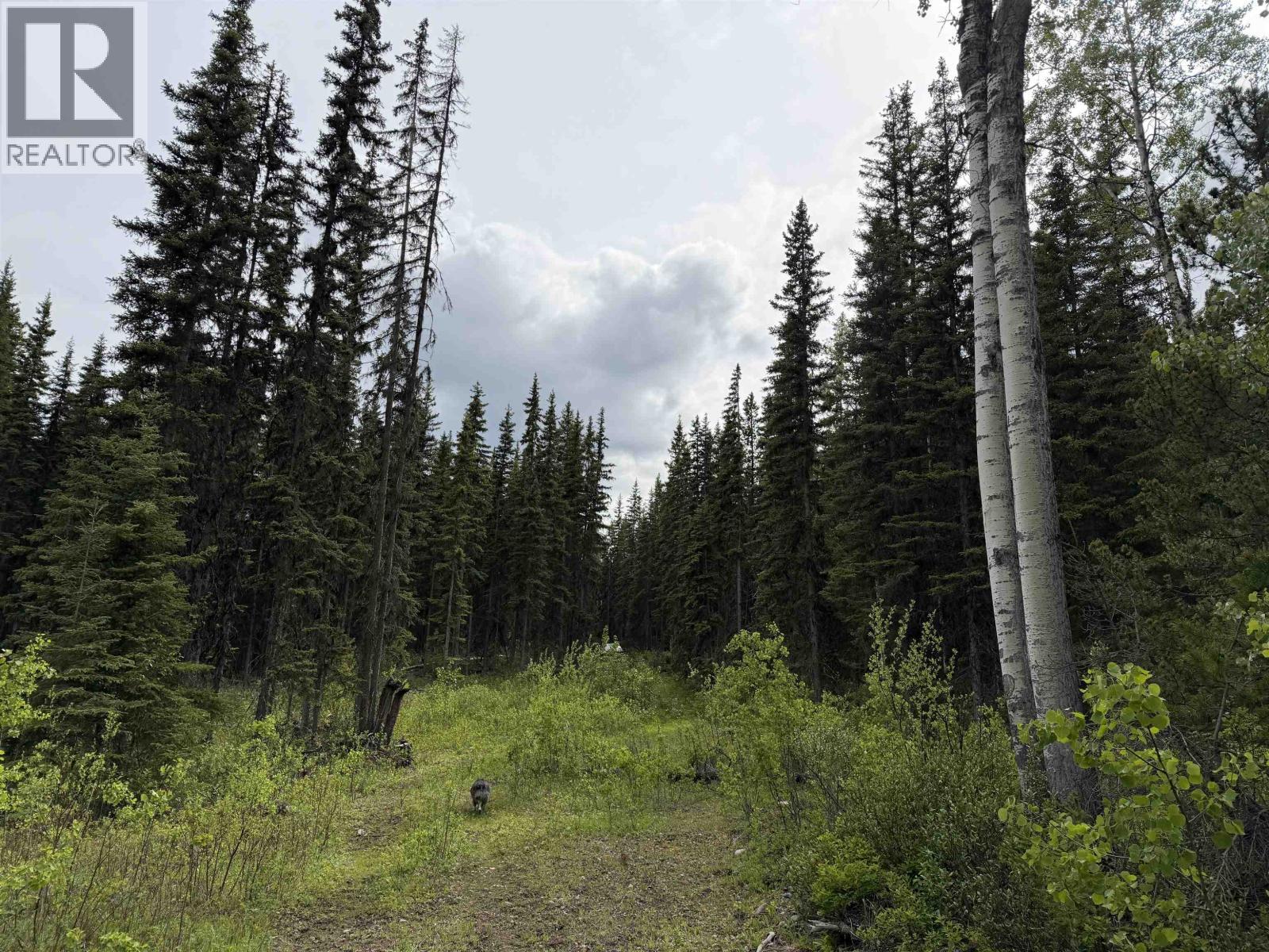 Dl 706 Walcott Road, Telkwa, BC