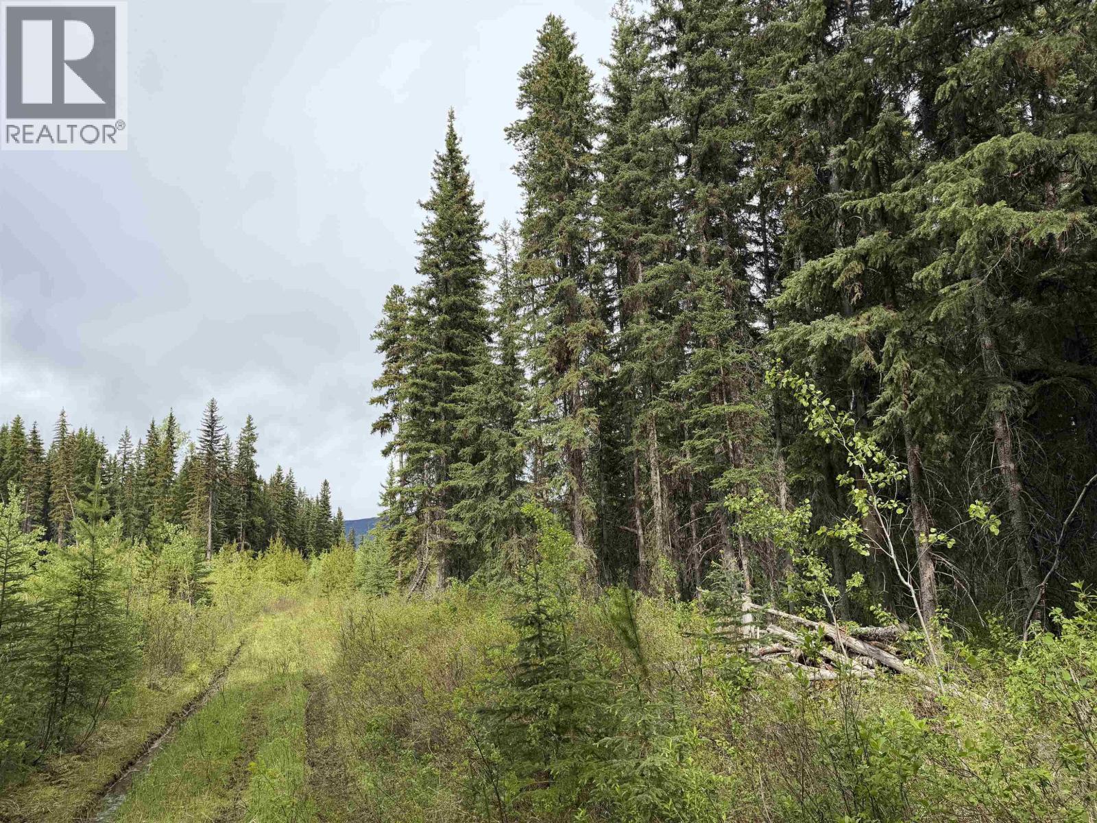 Dl 706 Walcott Road, Telkwa, BC
