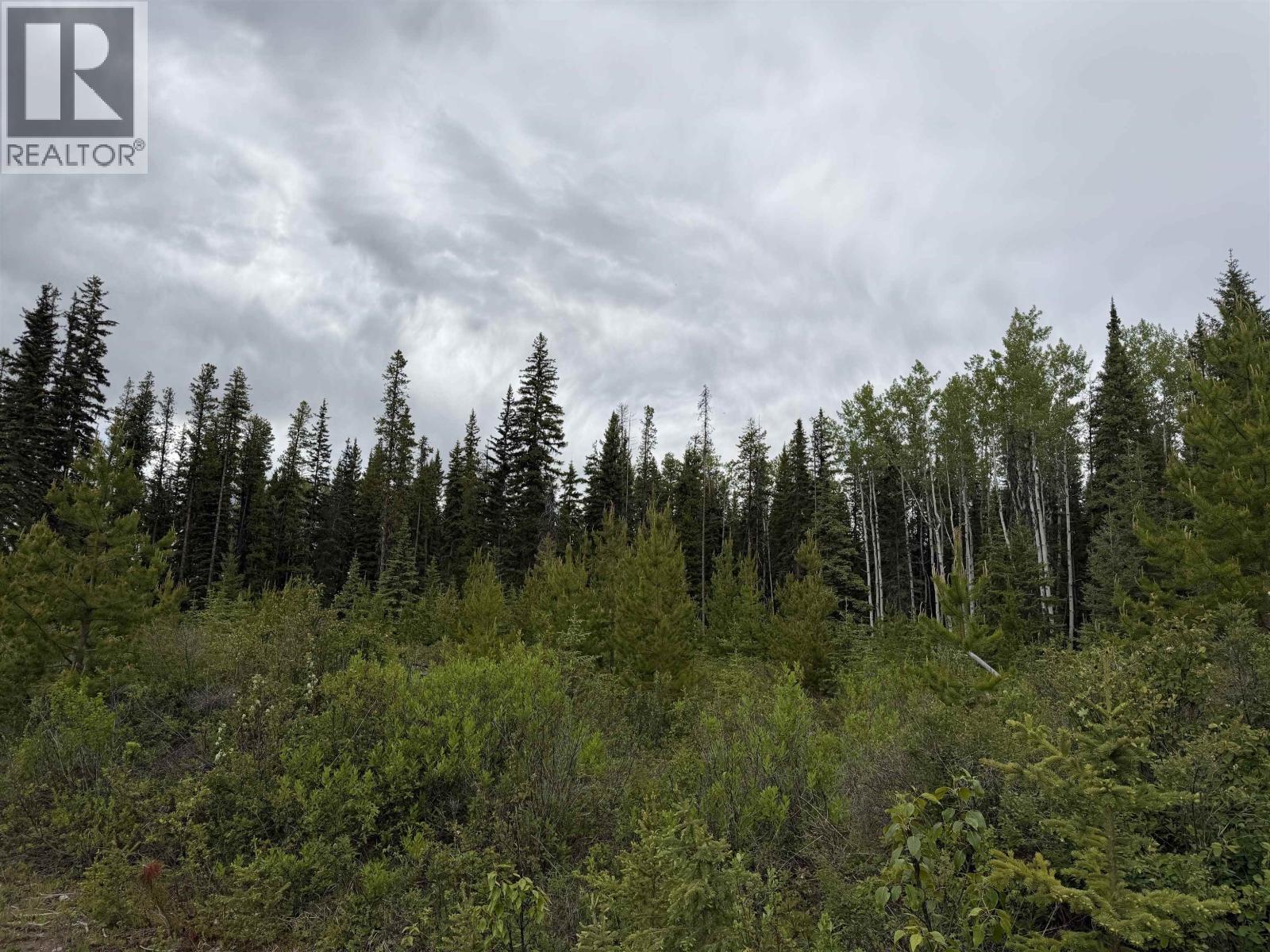 Dl 706 Walcott Road, Telkwa, BC
