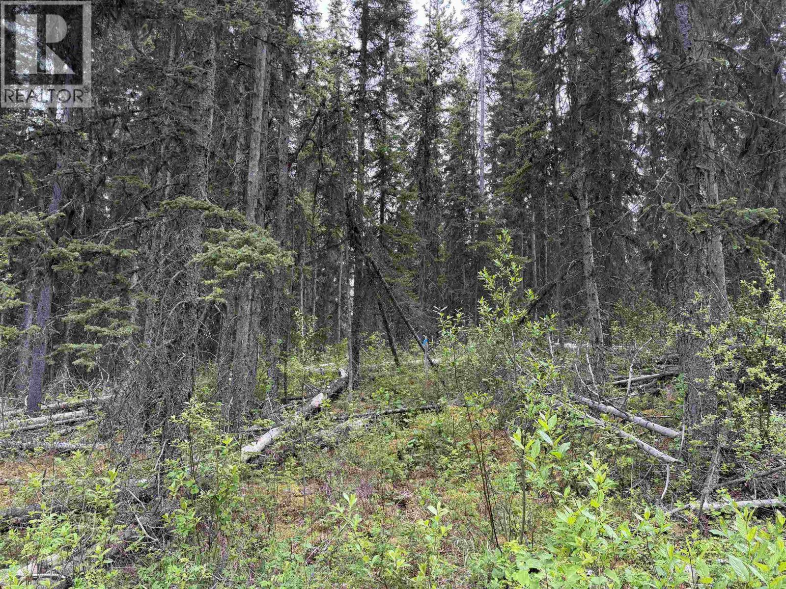 Dl 706 Walcott Road, Telkwa, BC