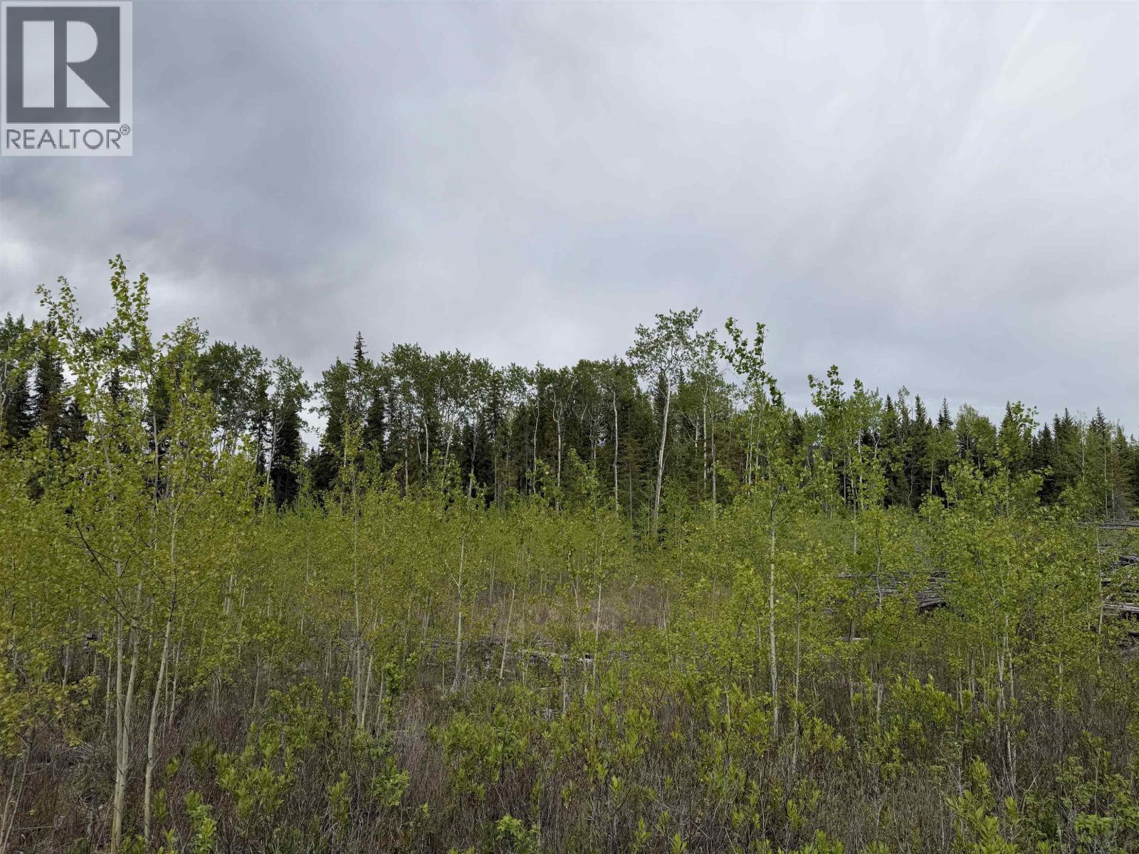 Dl 706 Walcott Road, Telkwa, BC