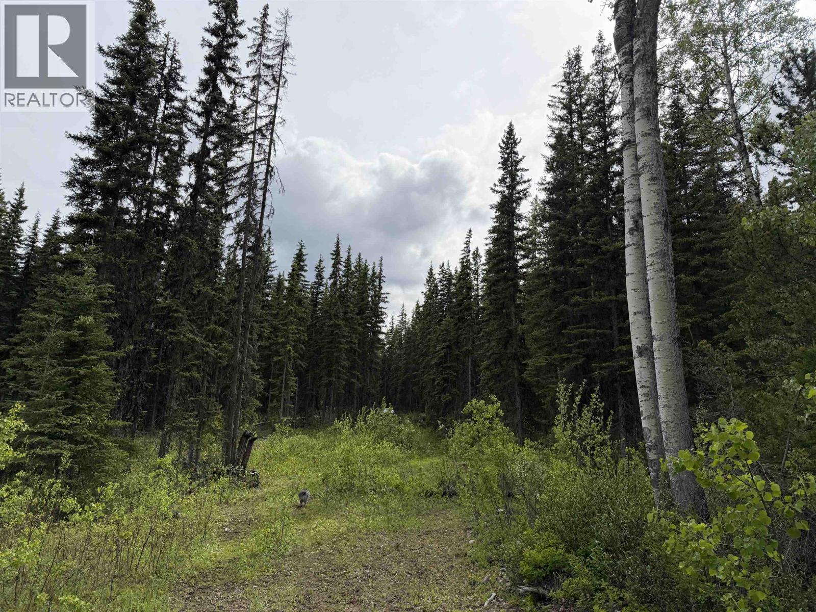 Dl 706 Walcott Road, Telkwa, BC
