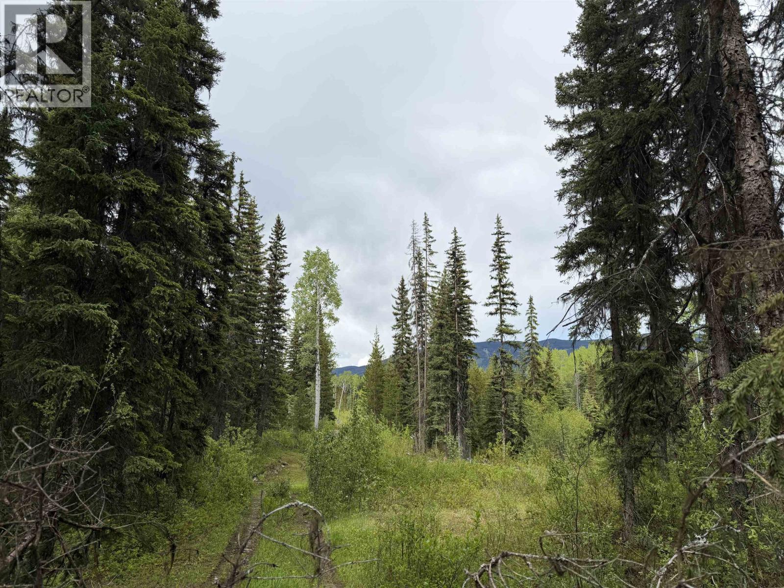 Dl 706 Walcott Road, Telkwa, BC