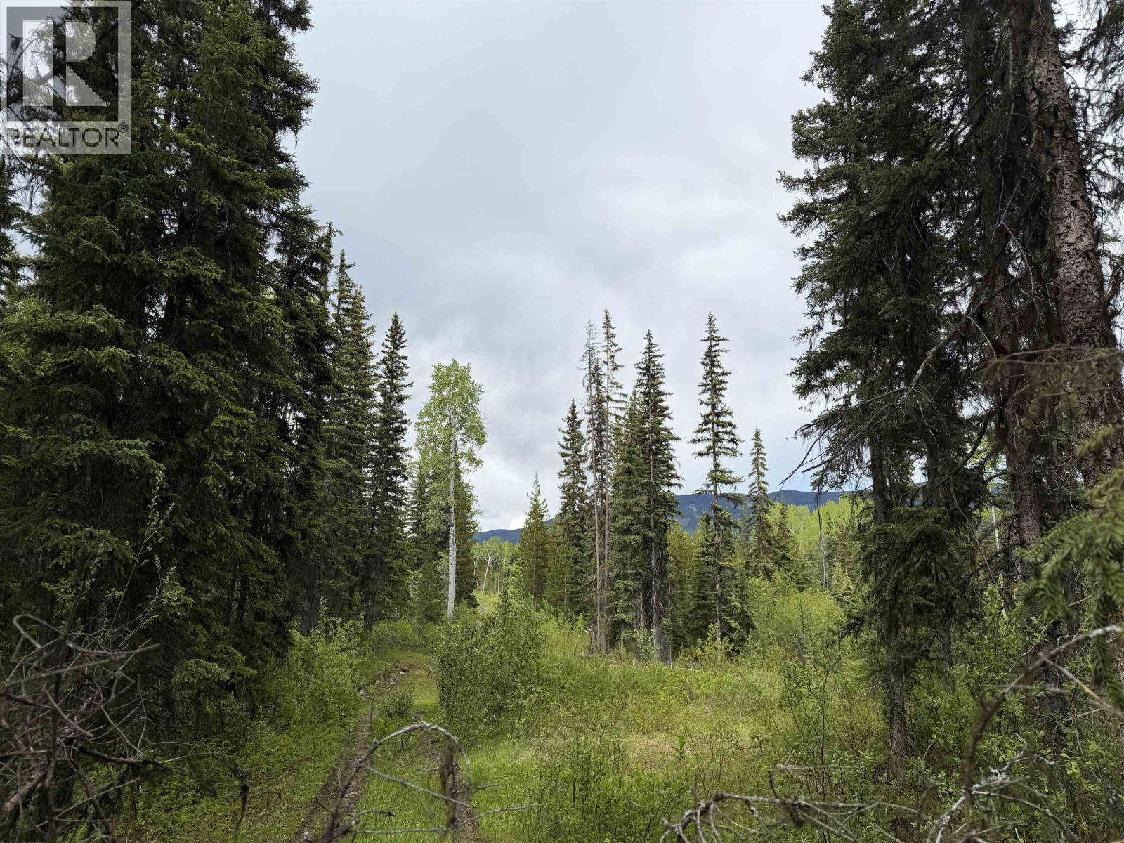 Dl 706 Walcott Road, Telkwa, BC