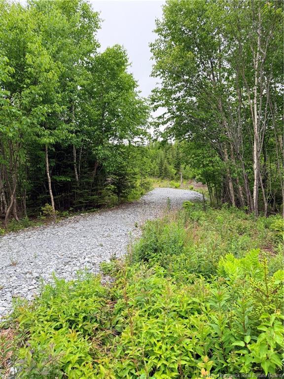 - Meadow Cove Rd, Musquash, NB