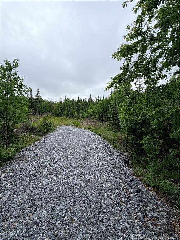 - Meadow Cove Rd, Musquash, NB