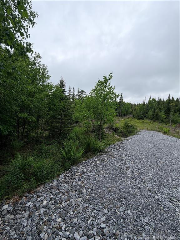 - Meadow Cove Rd, Musquash, NB