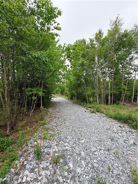 - Meadow Cove Rd, Musquash, NB