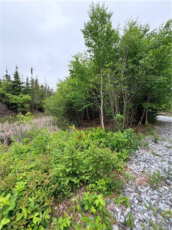 - Meadow Cove Rd, Musquash, NB