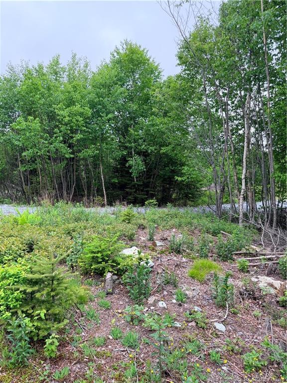 - Meadow Cove Rd, Musquash, NB