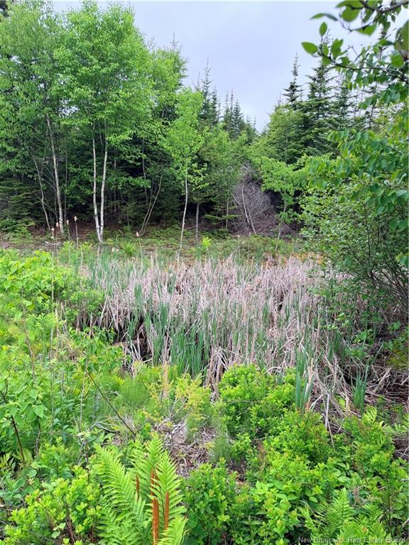- Meadow Cove Rd, Musquash, NB