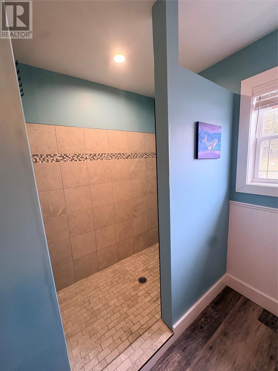 138 Birchy Point Road, Campbellton, NL