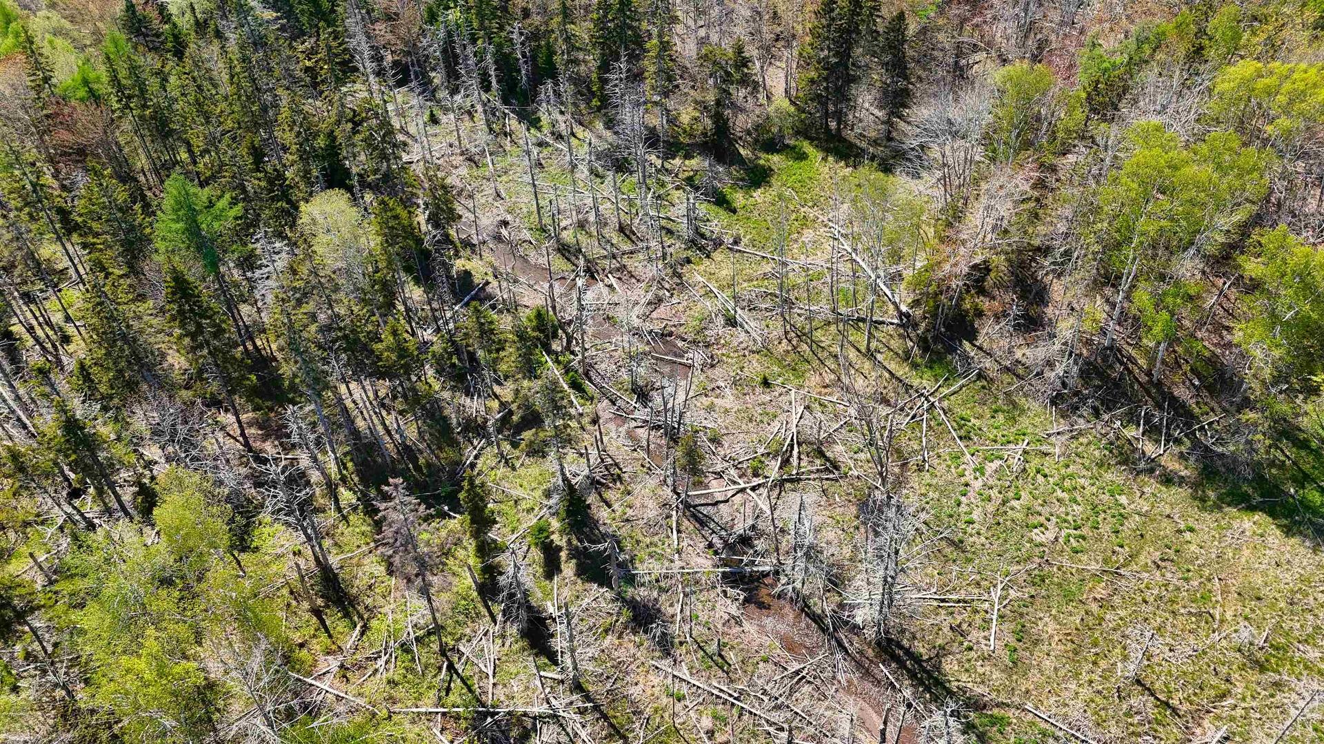 7004 Marble Mountain Road, Malagawatch, NS