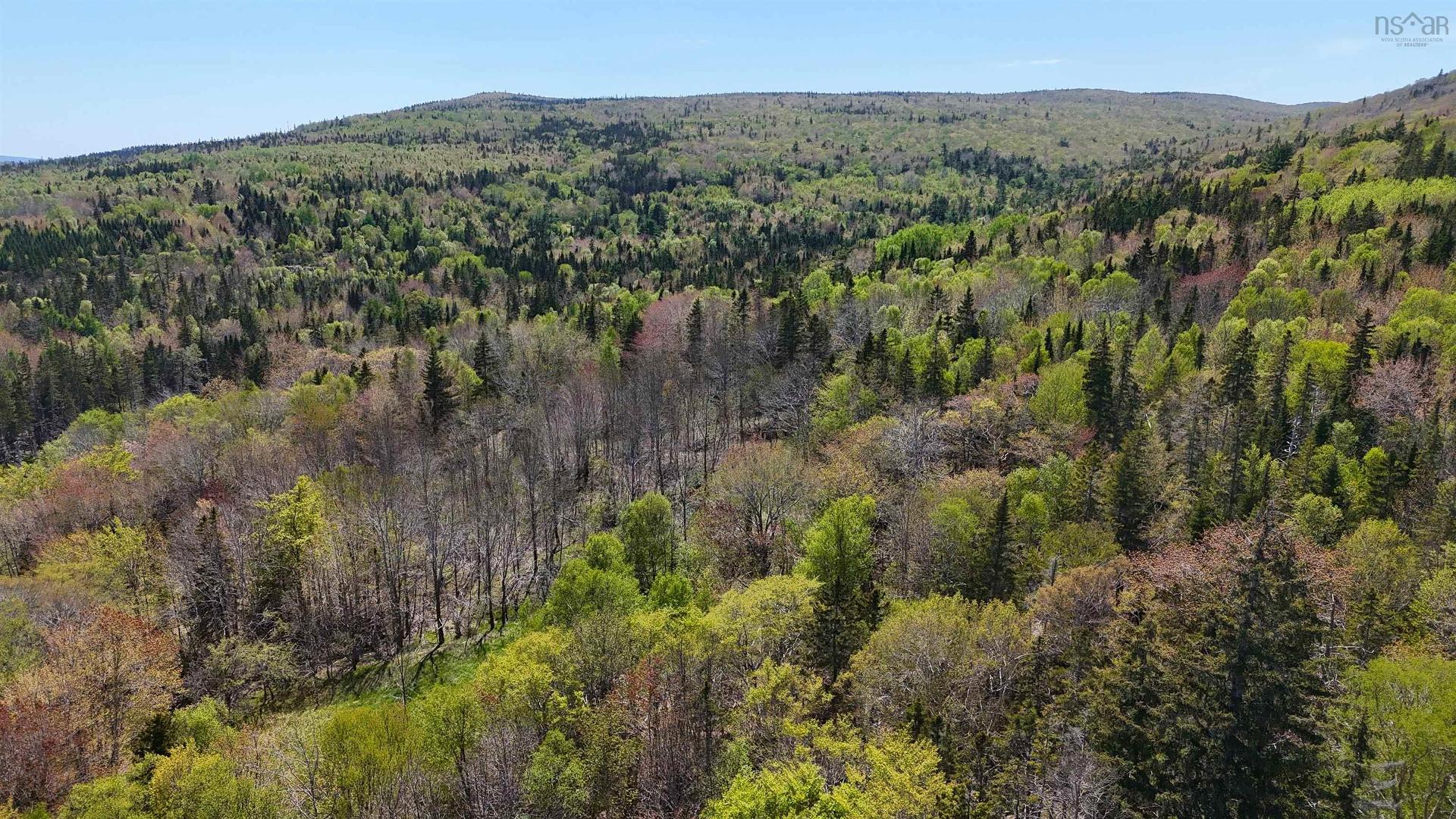 7004 Marble Mountain Road, Malagawatch, NS