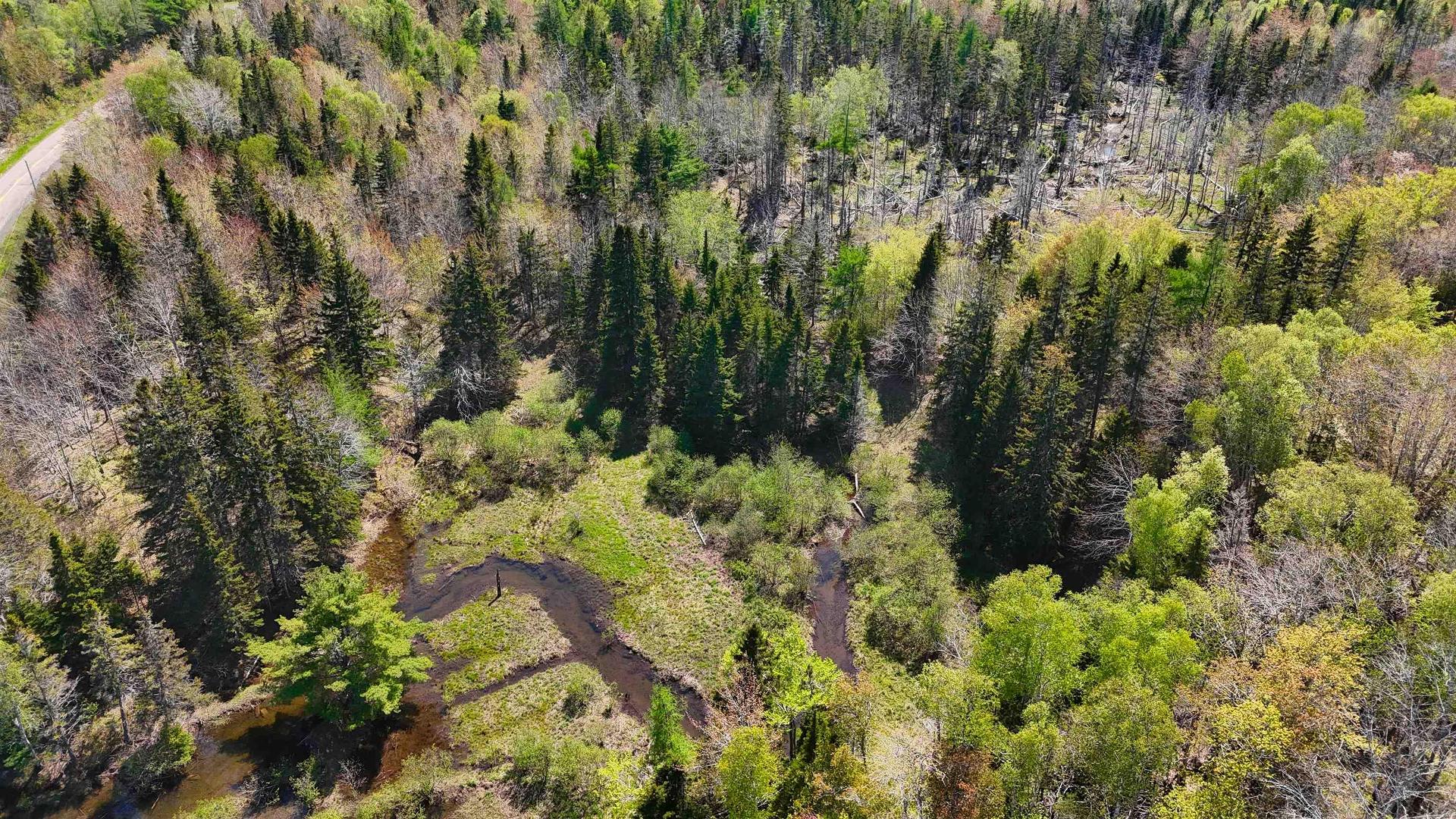 7004 Marble Mountain Road, Malagawatch, NS