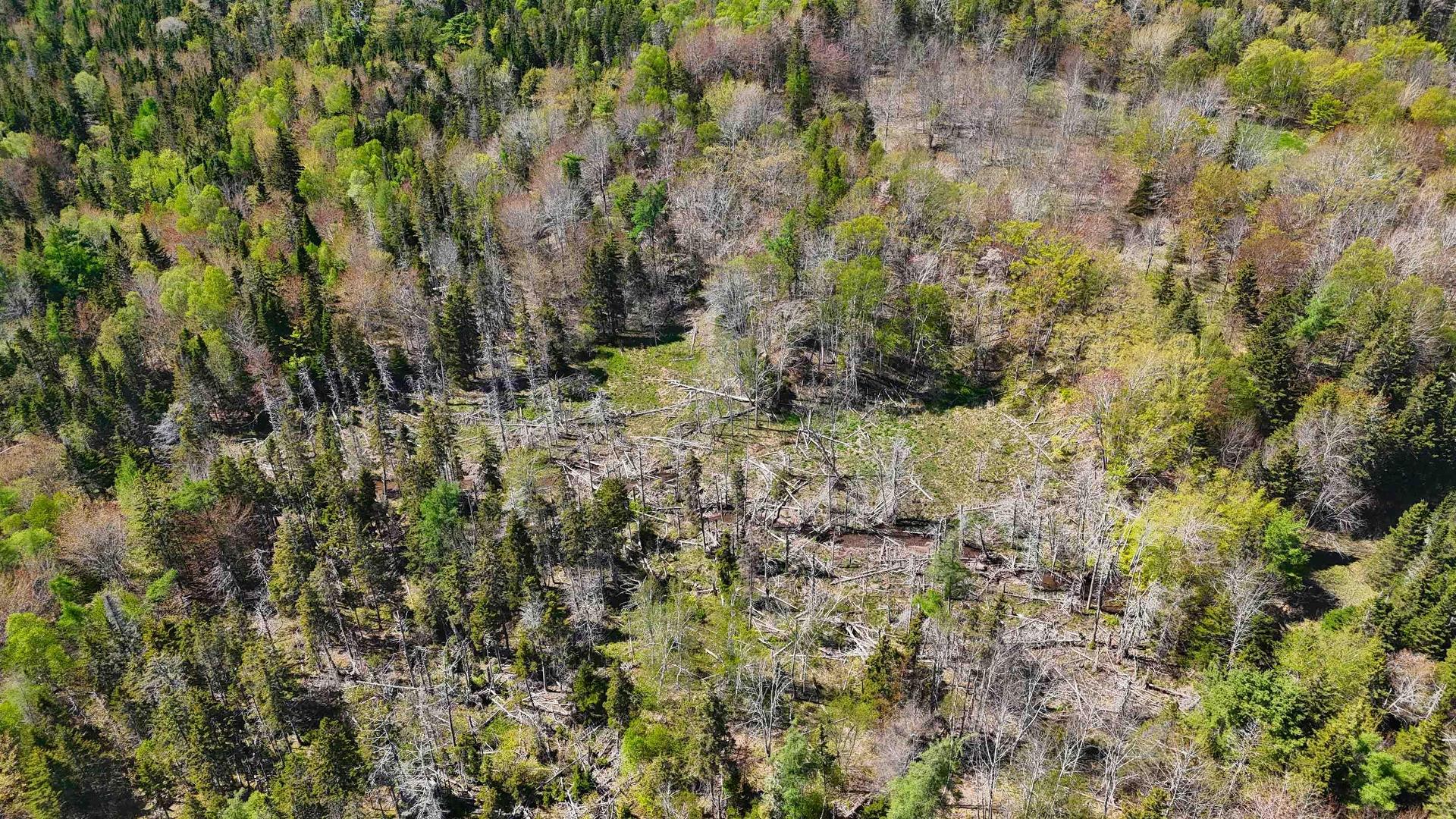 7004 Marble Mountain Road, Malagawatch, NS