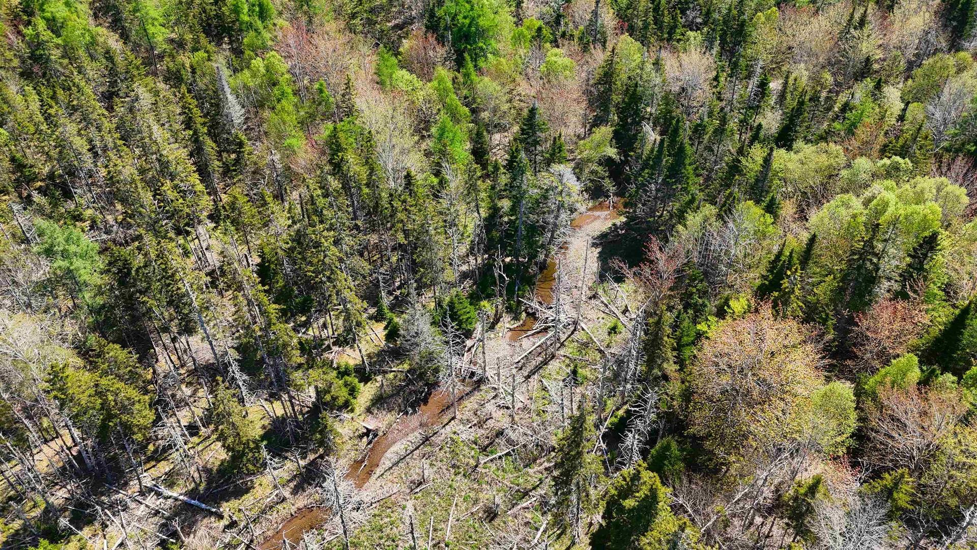 7004 Marble Mountain Road, Malagawatch, NS