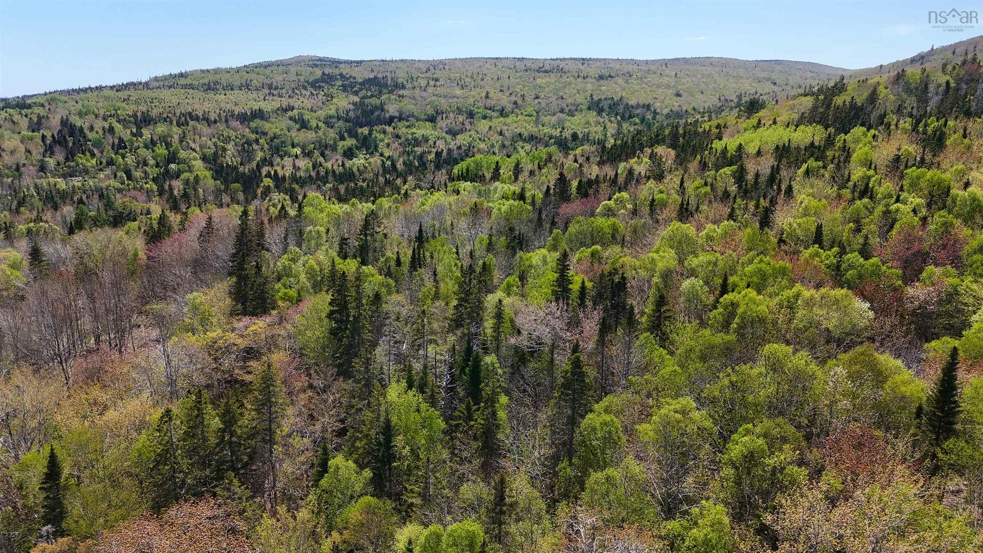 7004 Marble Mountain Road, Malagawatch, NS