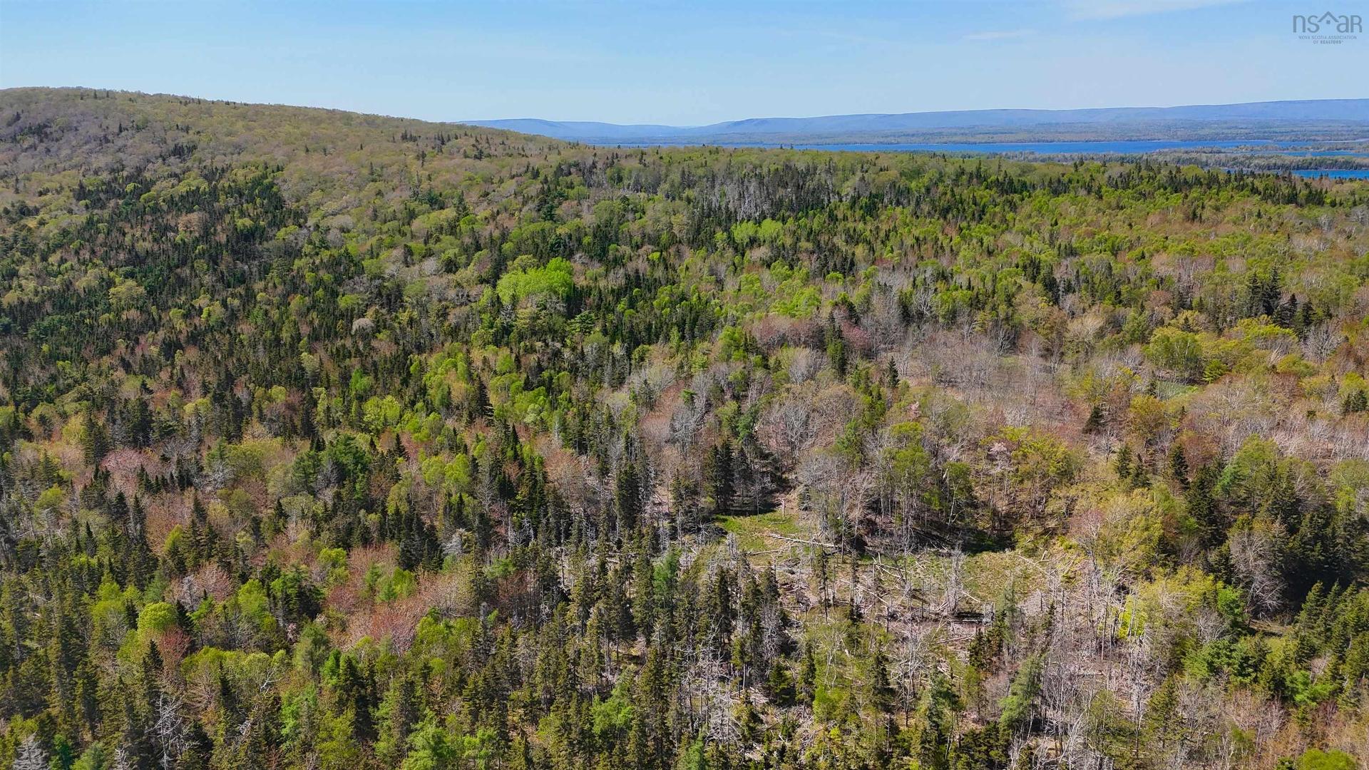 7004 Marble Mountain Road, Malagawatch, NS