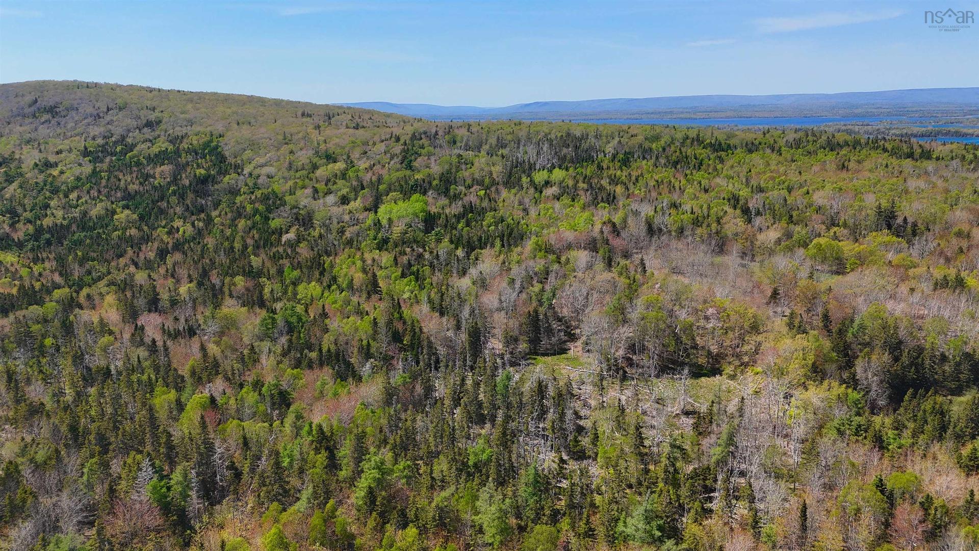 7004 Marble Mountain Road, Malagawatch, NS