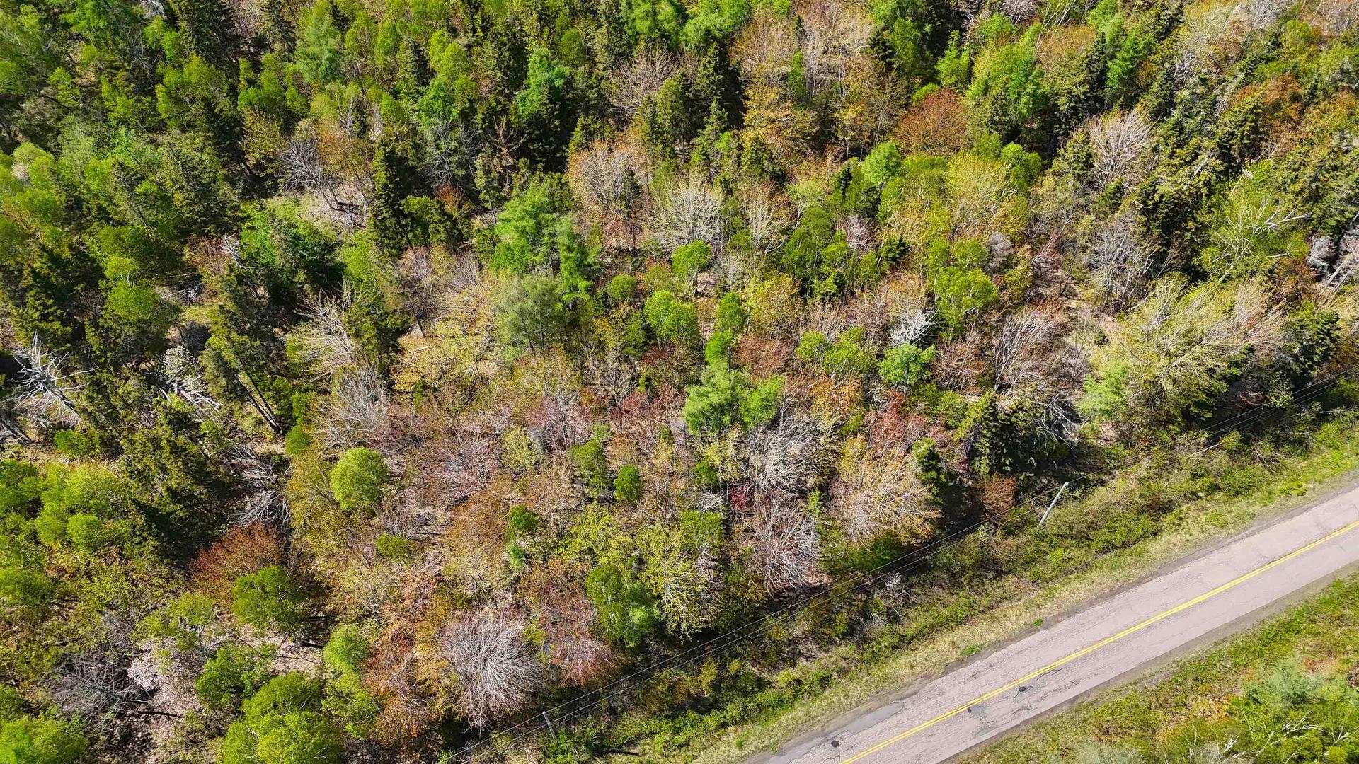 7004 Marble Mountain Road, Malagawatch, NS