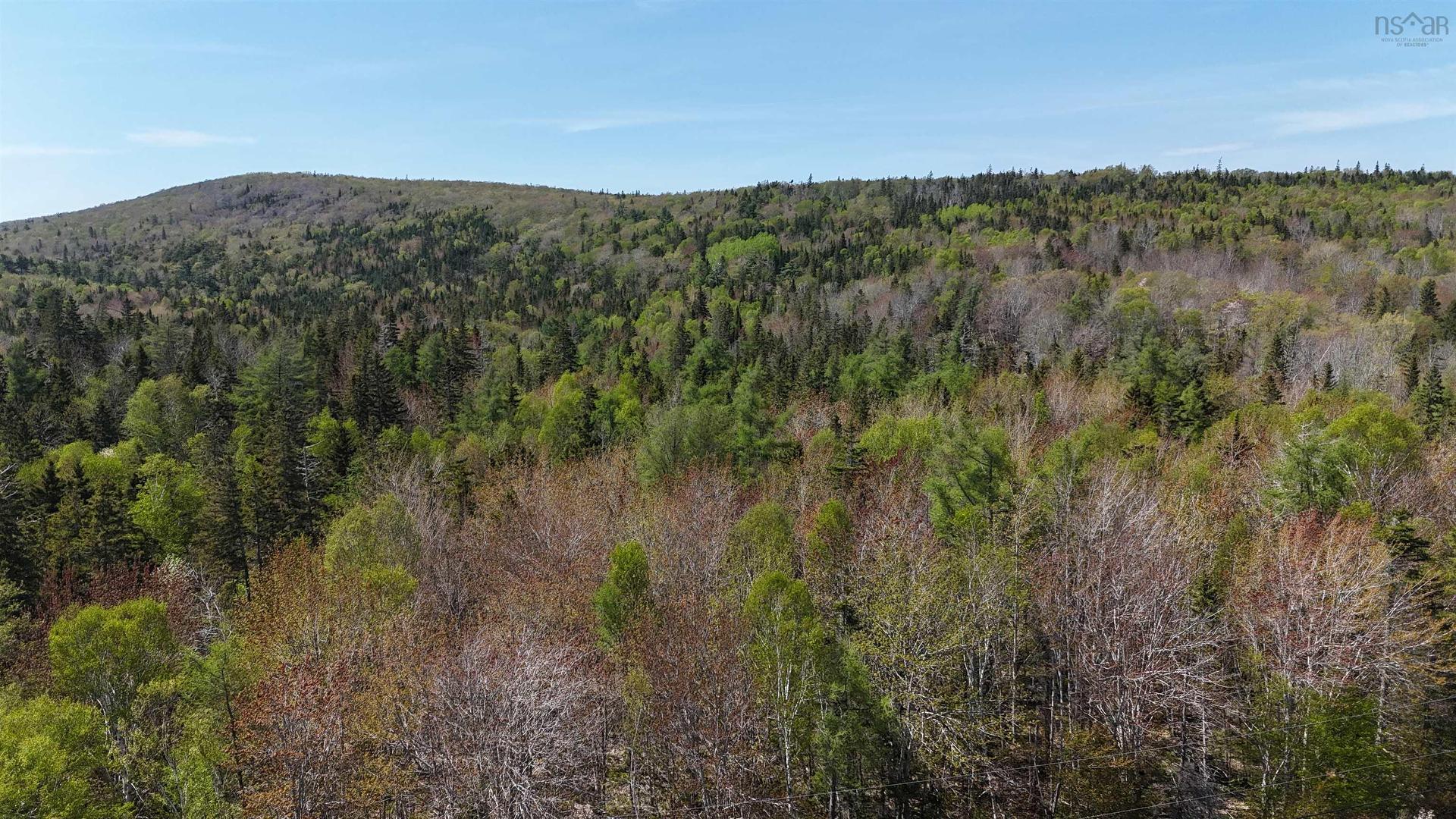 7004 Marble Mountain Road, Malagawatch, NS