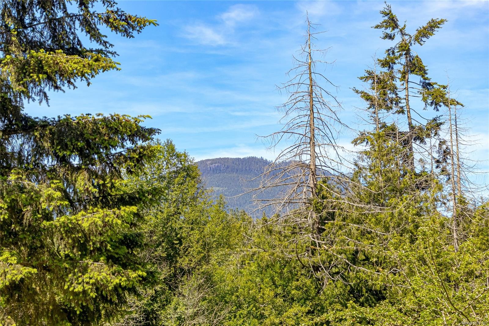 3401 River Rd, Chemainus, BC