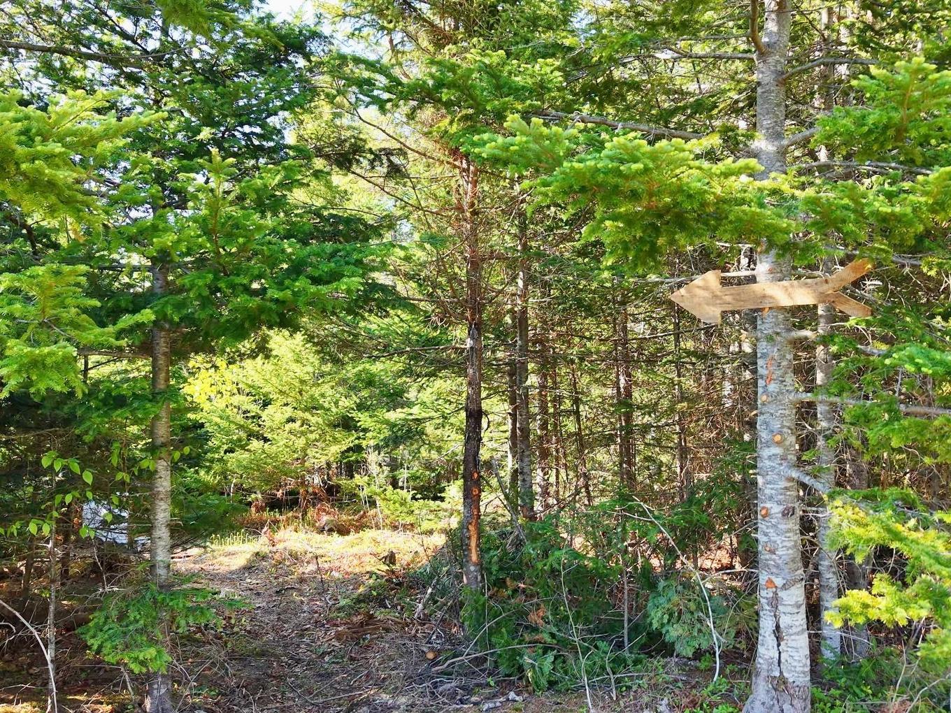 9054 East Bay Highway, Middle Cape, NS