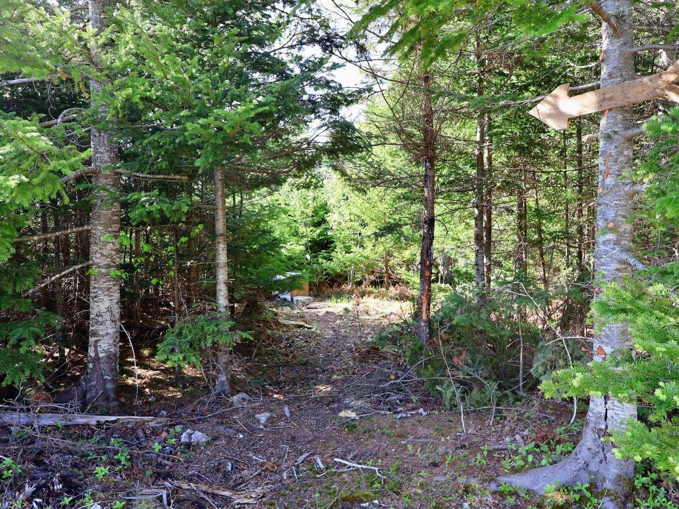 9054 East Bay Highway, Middle Cape, NS