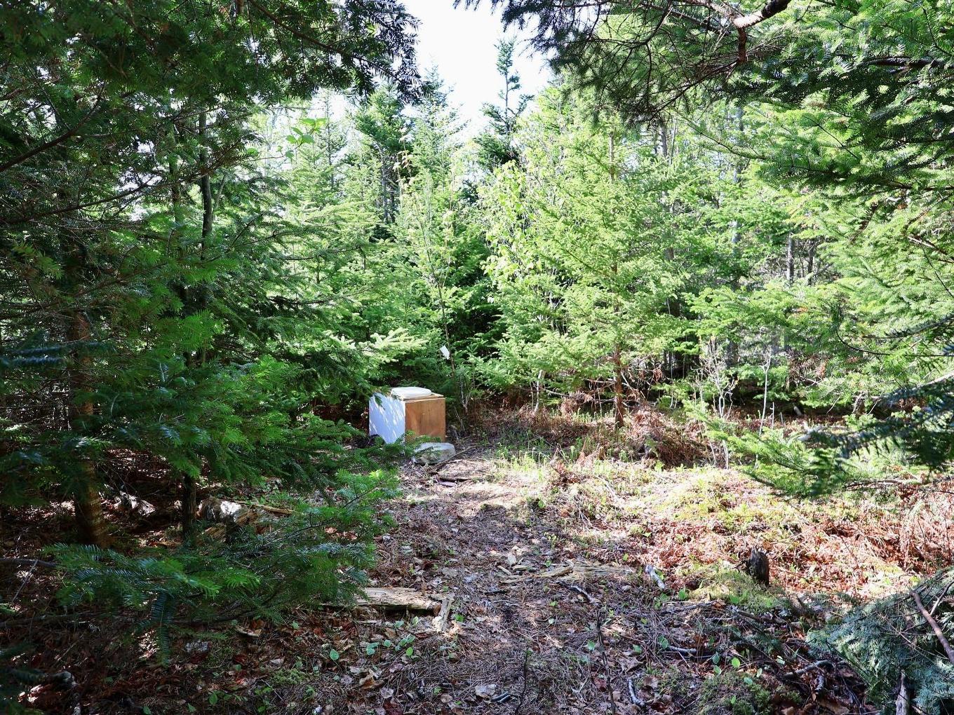 9054 East Bay Highway, Middle Cape, NS