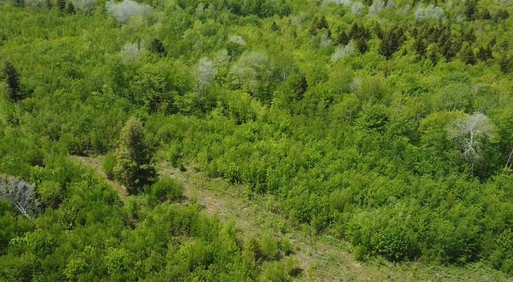 93A Junction Road, Springhill, NS